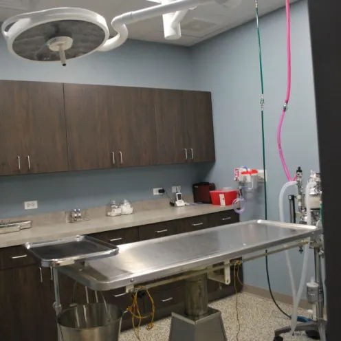 Foxmoor Veterinary Clinic Surgery Room